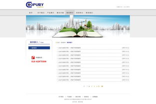 北京網站建設 原創先鋒，案例引領未來